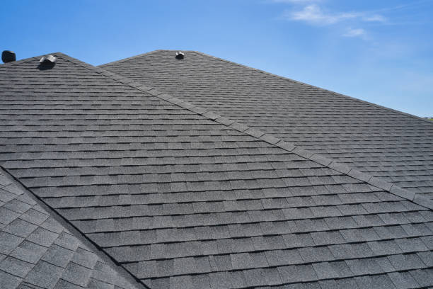 Roof Coating Services in Laingsburg, MI